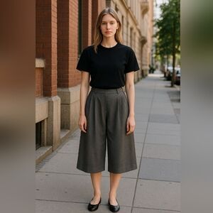 Tory Burch Gaucho Pants Wool Brown Grey Size 2